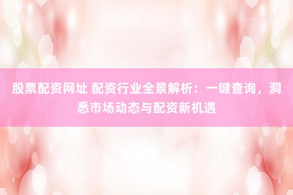 股票配资网址 配资行业全景解析：一键查询，洞悉市场动态与配资新机遇
