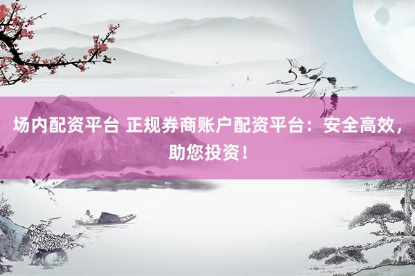 场内配资平台 正规券商账户配资平台：安全高效，助您投资！