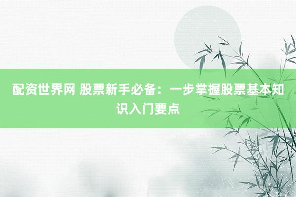 配资世界网 股票新手必备：一步掌握股票基本知识入门要点