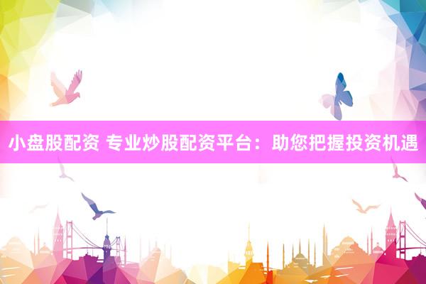 小盘股配资 专业炒股配资平台：助您把握投资机遇