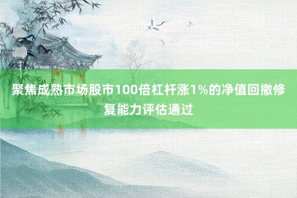 聚焦成熟市场股市100倍杠杆涨1%的净值回撤修复能力评估通过