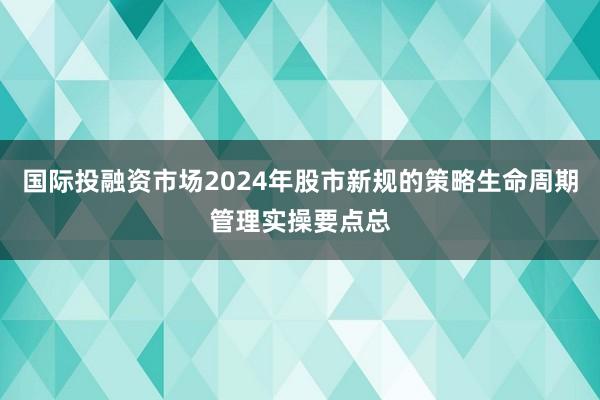 国际投融资市场2024年股市新规的策略生命周期管理实操要点总