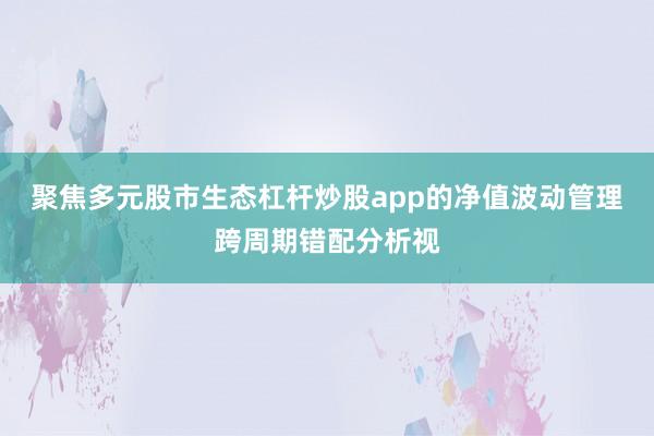 聚焦多元股市生态杠杆炒股app的净值波动管理跨周期错配分析视
