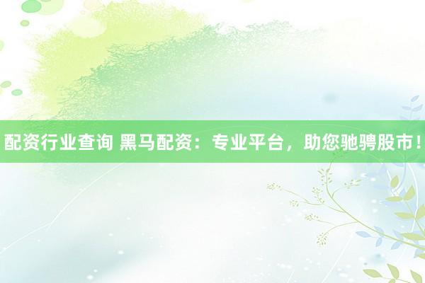 配资行业查询 黑马配资:专业平台,助您驰骋股市!